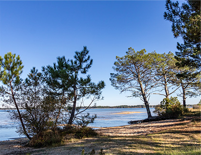 Terrain LE TEICH 700m2 189000 euros avec Couleur Villas